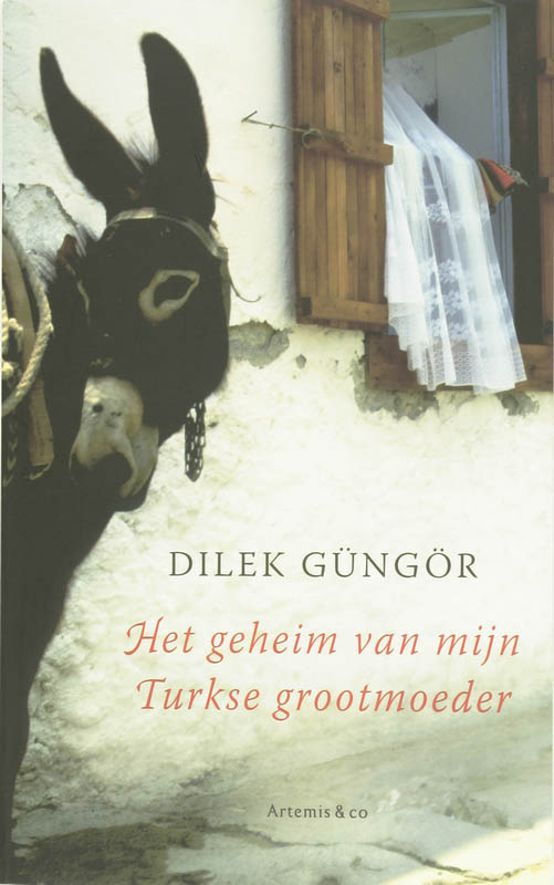 Omslag van Het geheim van mijn Turkse grootmoeder