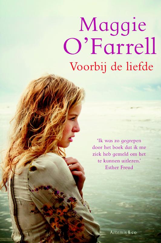 Omslag van Voorbij de liefde
