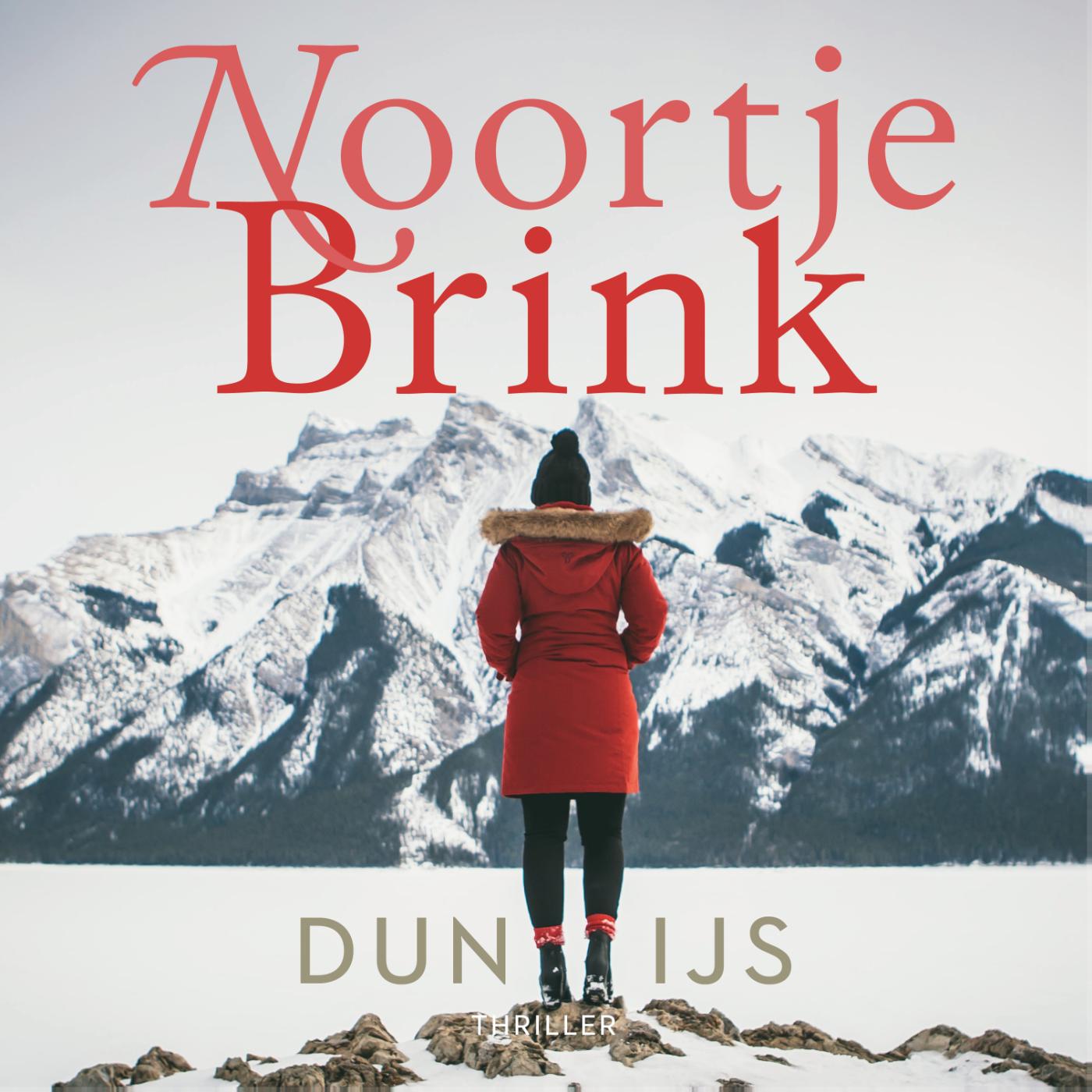 Omslag van Dun ijs