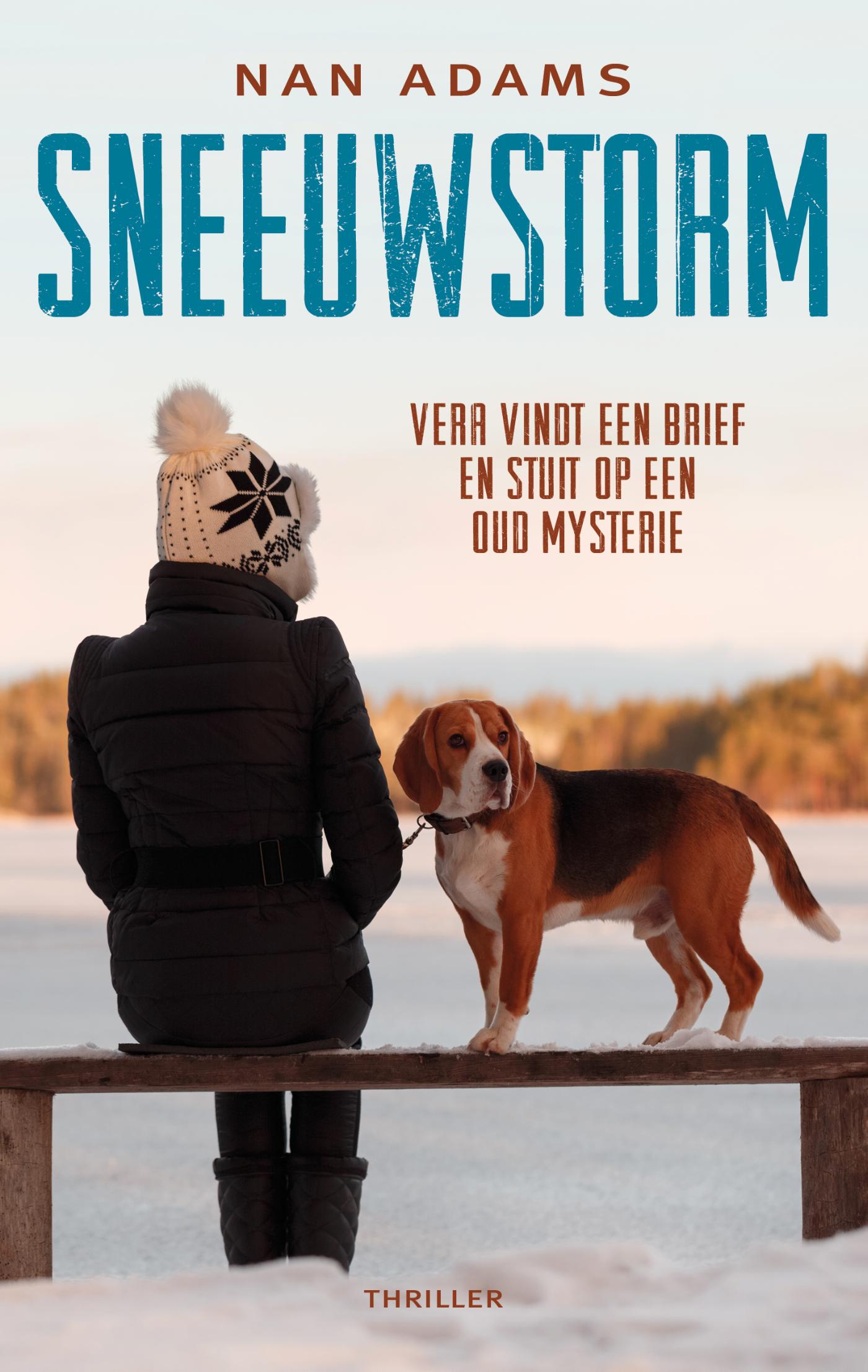 Omslag van Sneeuwstorm