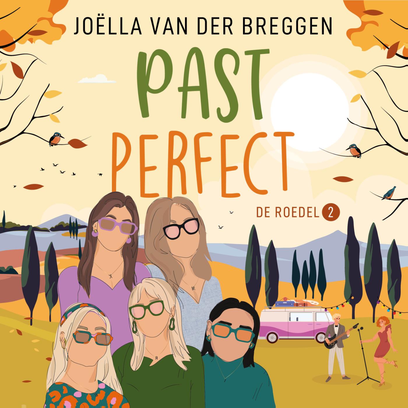 Omslag van Past perfect