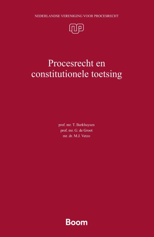 Omslag van Procesrecht en constitutionele toetsing