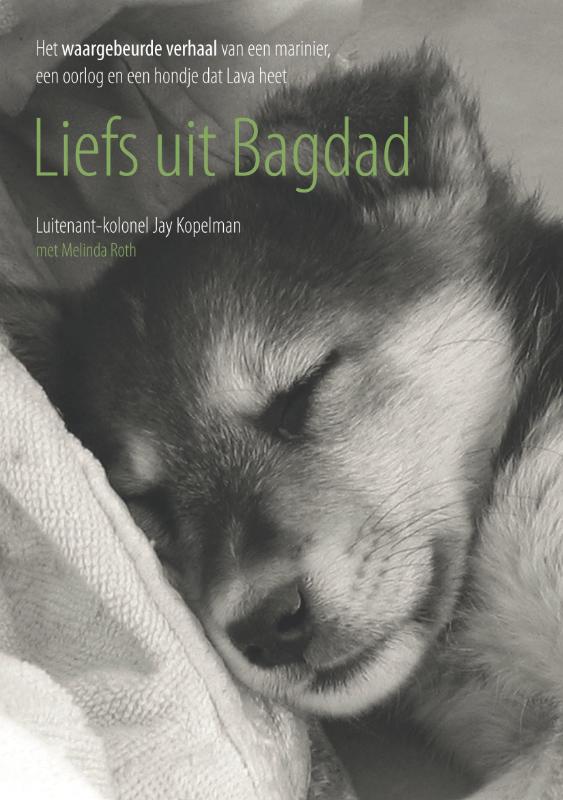Omslag van Liefs uit Bagdad