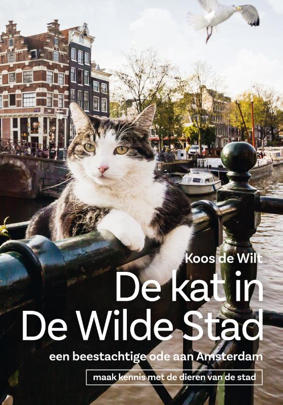 Omslag van De kat in de wilde stad