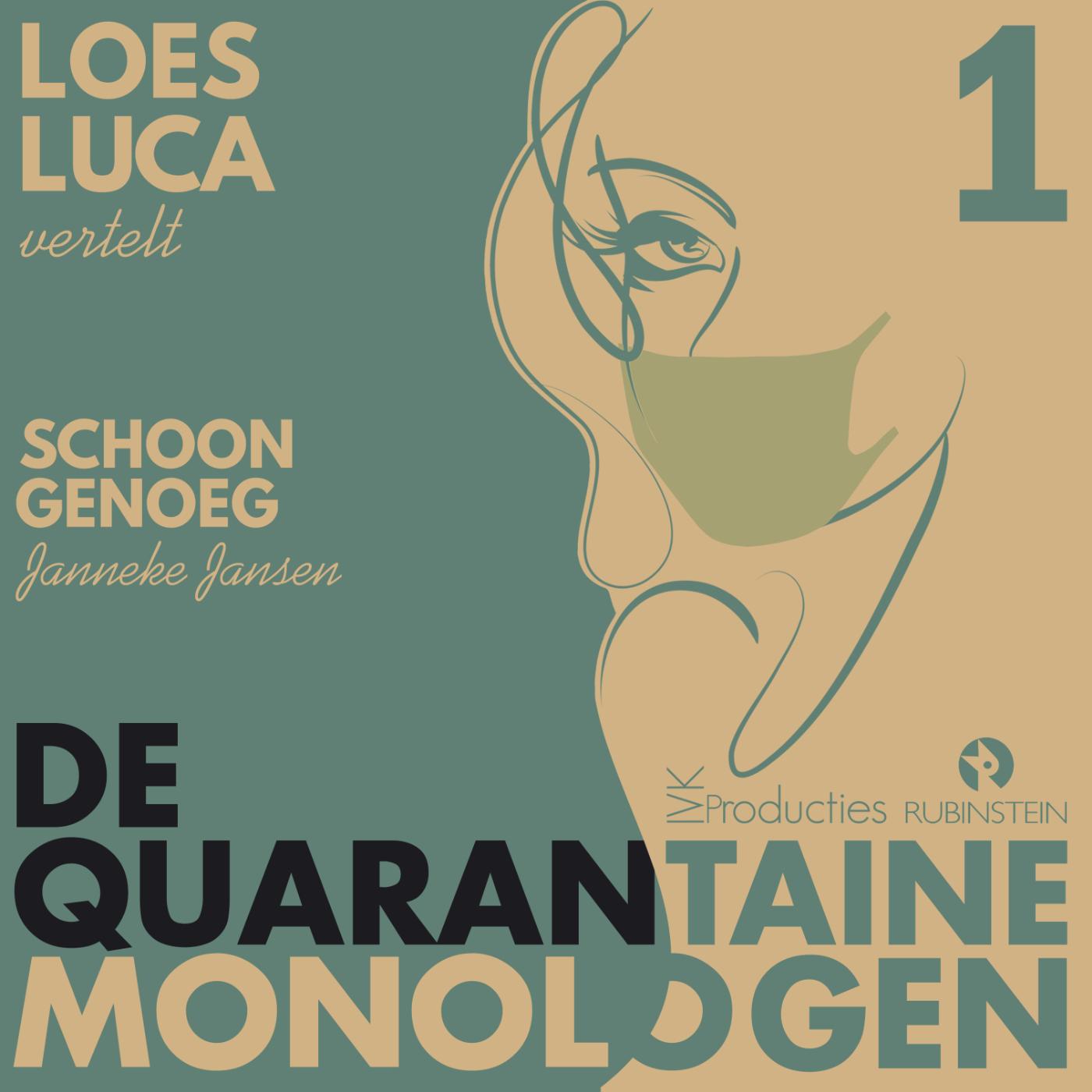 Omslag van Schoon genoeg