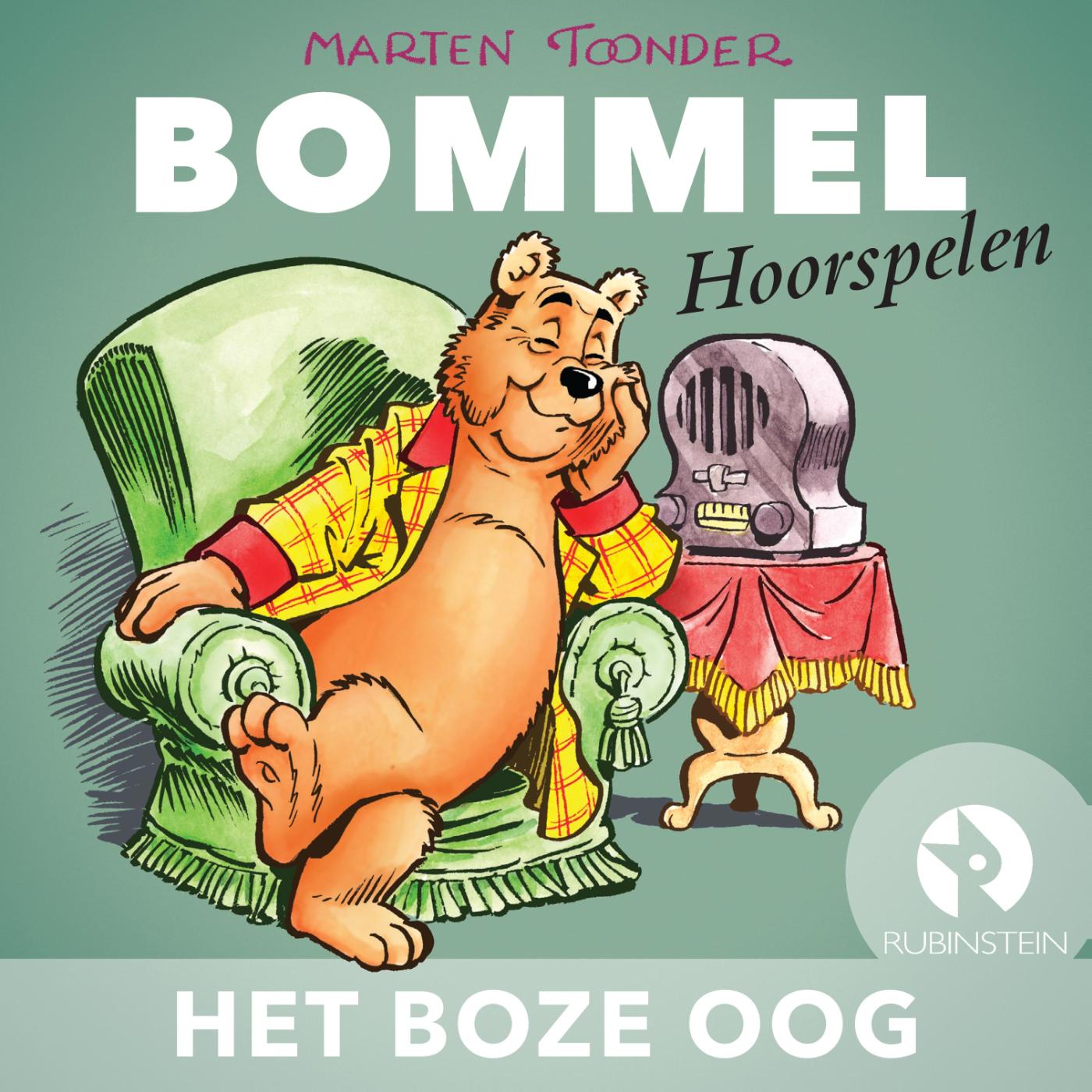 Omslag van Het boze oog