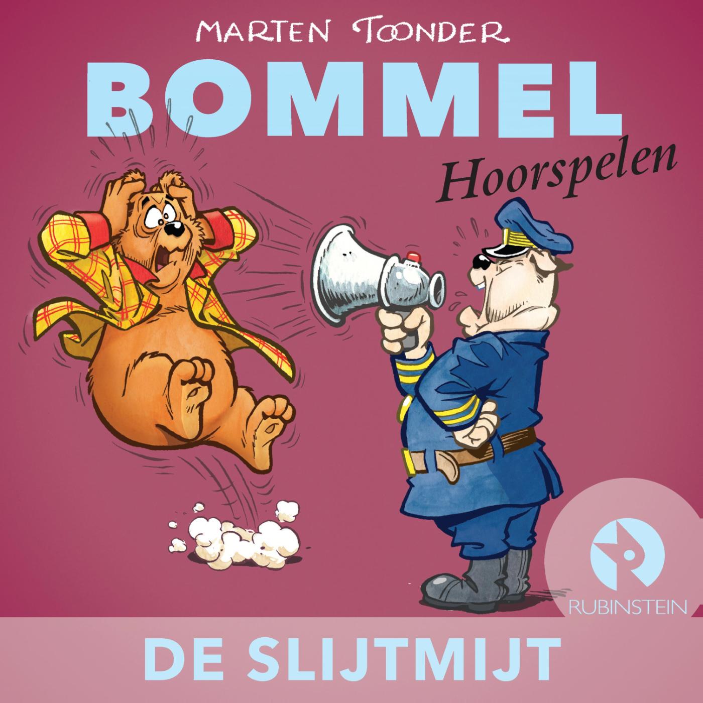 Omslag van De slijtmijt