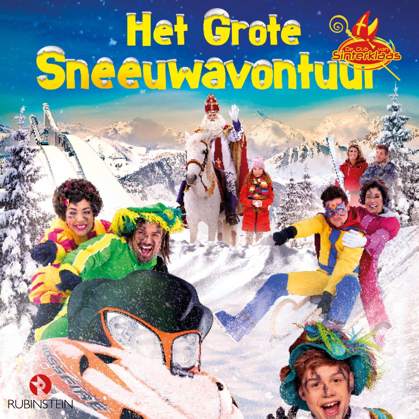 Omslag van Het grote sneeuwavontuur