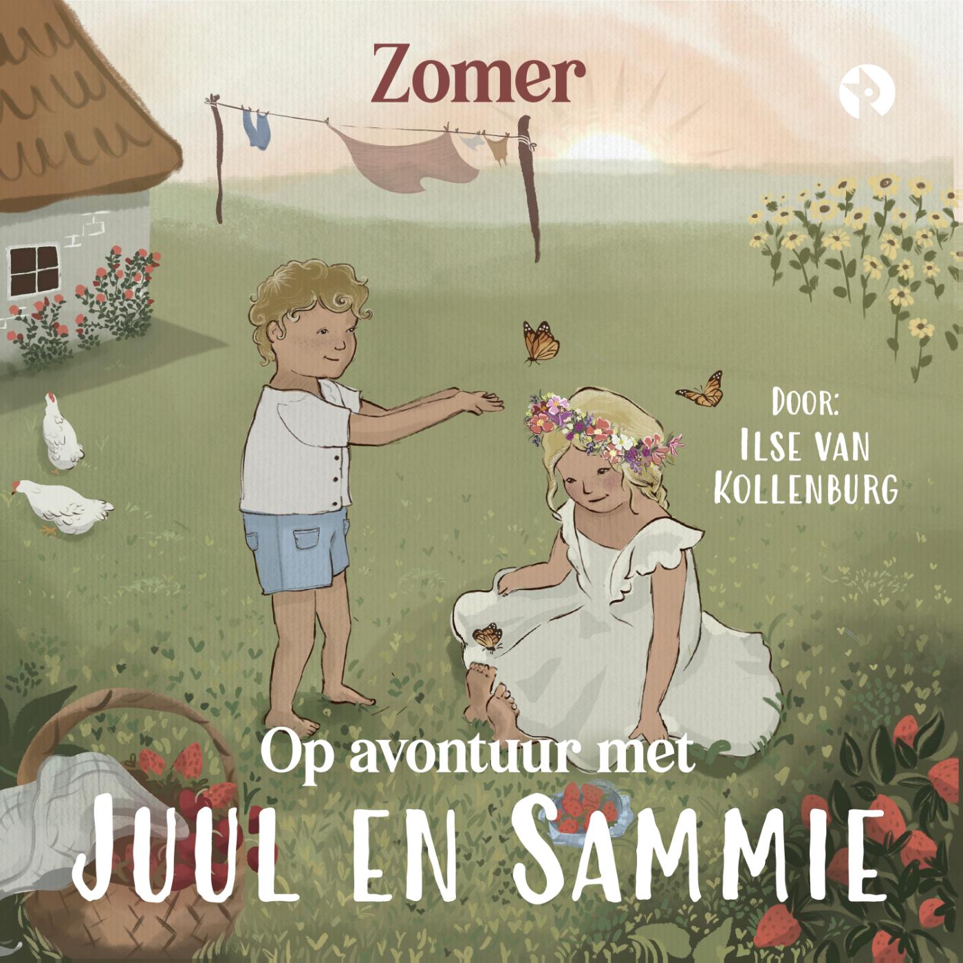 Omslag van Zomer
