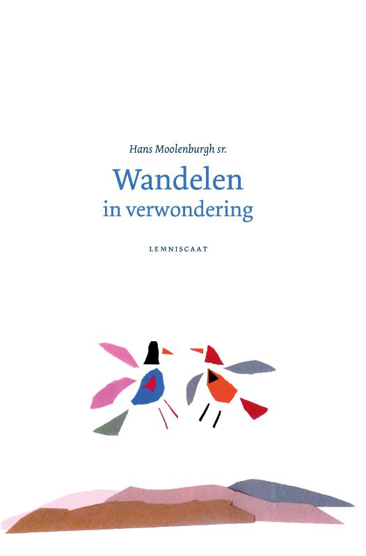 Omslag van Wandelen in verwondering
