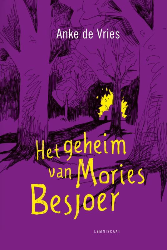 Omslag van Het geheim van Mories Besjoer
