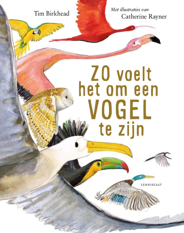 Omslag van Zo voelt het om een vogel te zijn