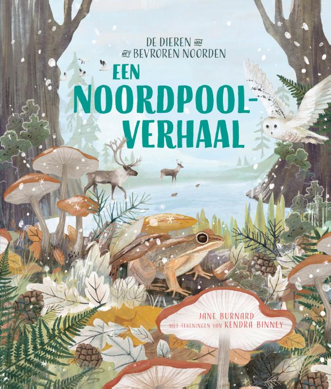 Omslag van Een Noordpoolverhaal