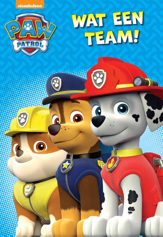 Omslag van Wat een team!
