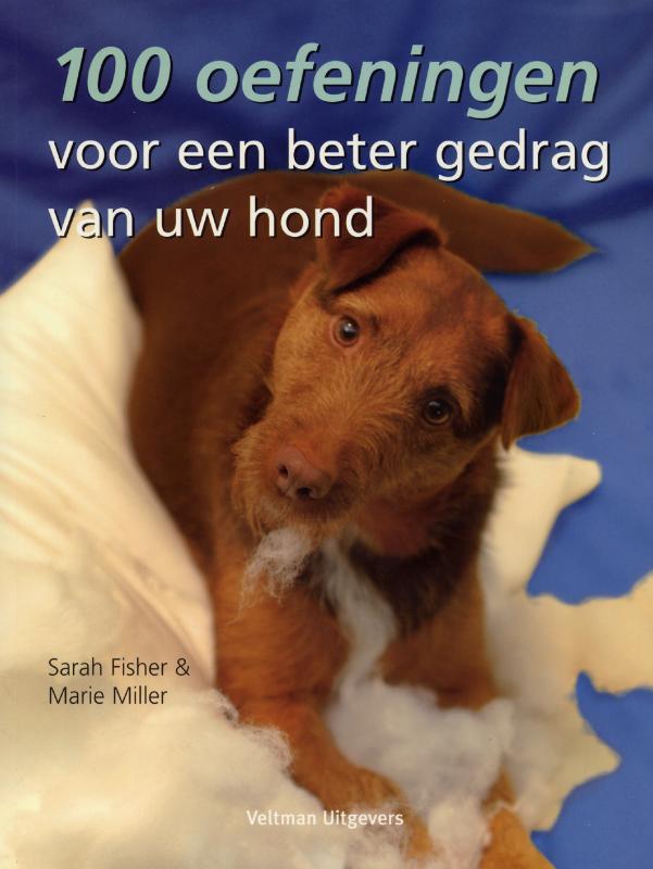 Omslag van 100 oefeningen voor een beter gedrag van uw hond