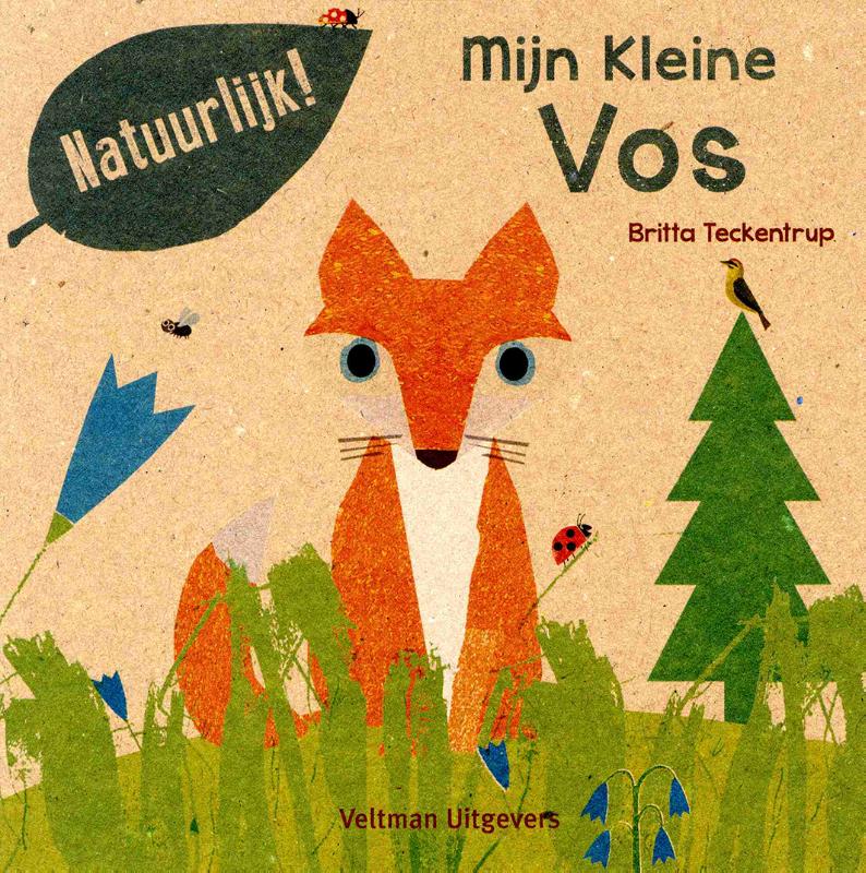 Omslag van Mijn kleine vos