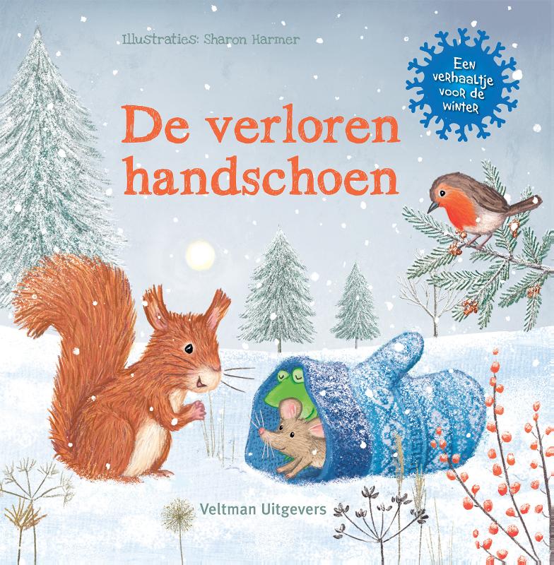 Omslag van De verloren handschoen