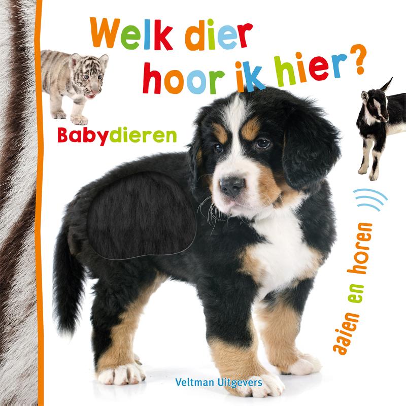 Omslag van Welk dier hoor ik hier? – Babydieren