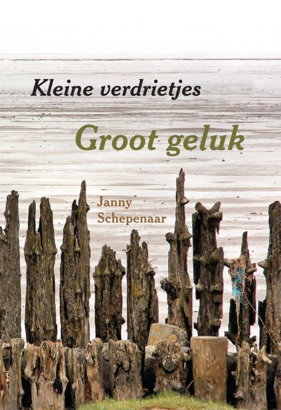Omslag van Kleine verdrietjes Groot geluk