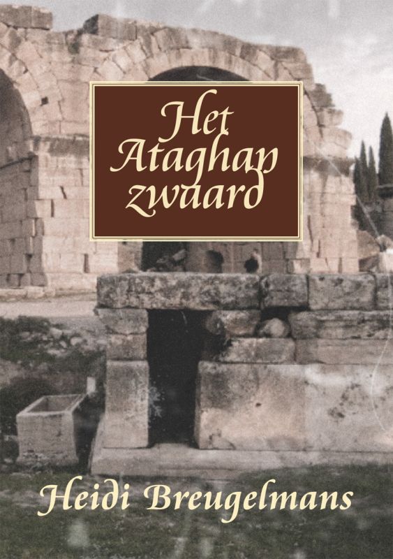 Omslag van Het Agathan zwaard