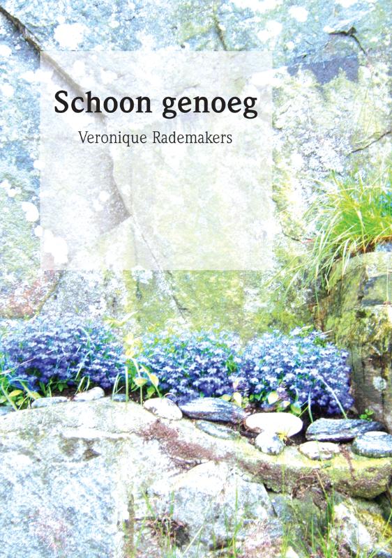 Omslag van Schoon genoeg