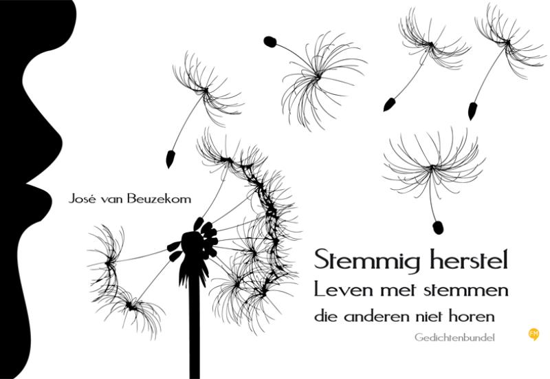 Omslag van Stemmig herstel