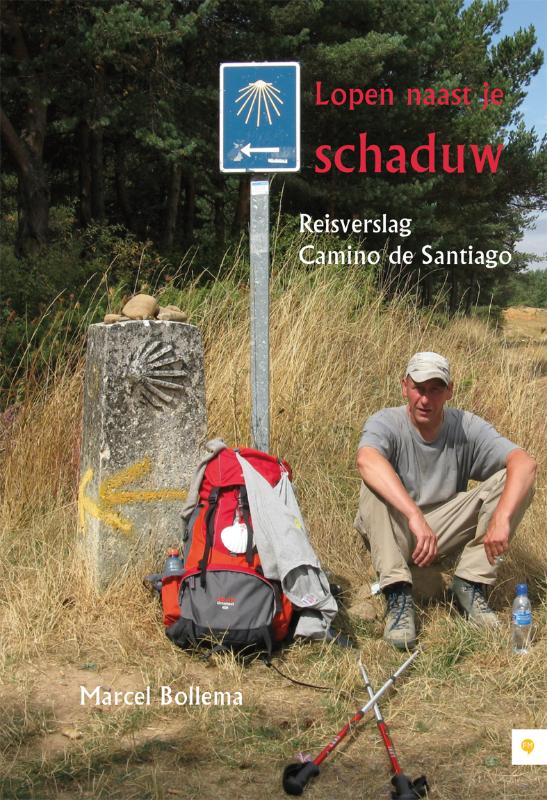 Omslag van Lopen naast je schaduw