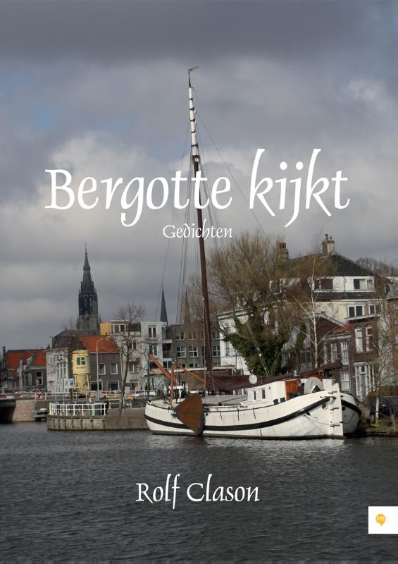 Omslag van Bergotte kijkt