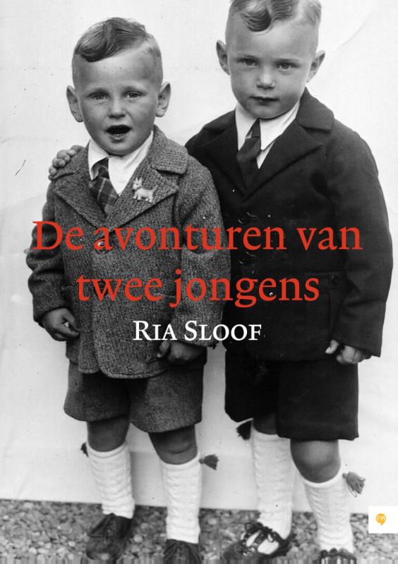 Omslag van De avonturen van twee jongens