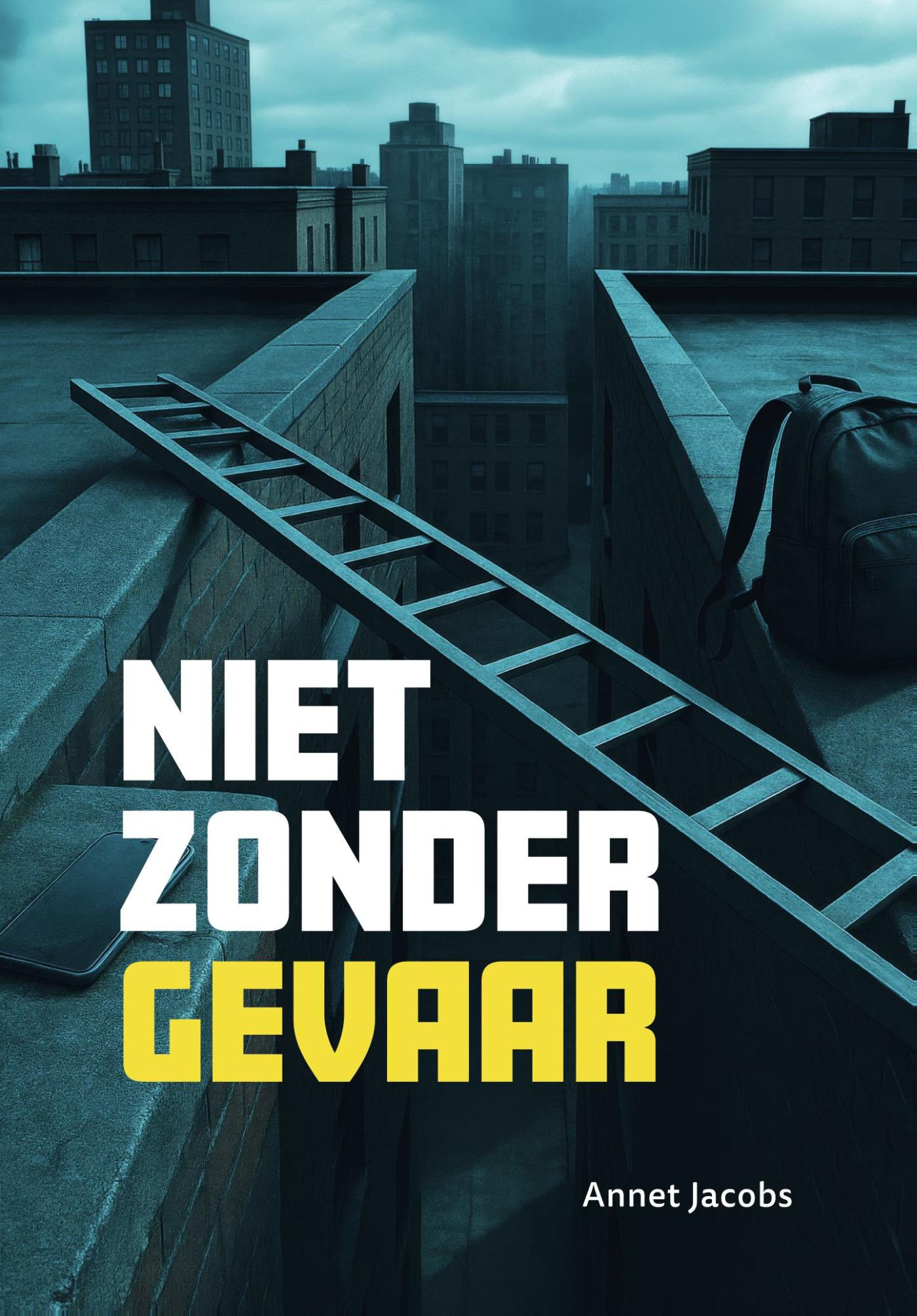 Omslag van Niet zonder gevaar