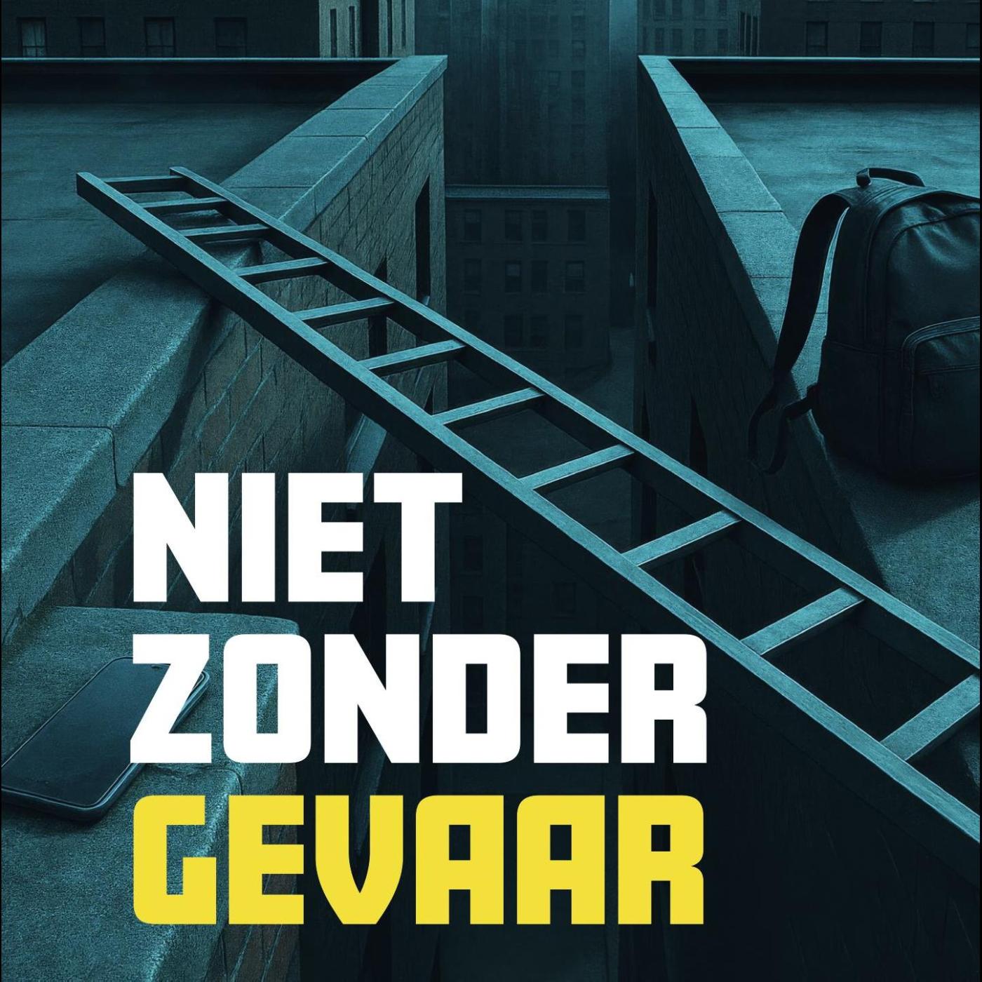 Omslag van Niet zonder gevaar