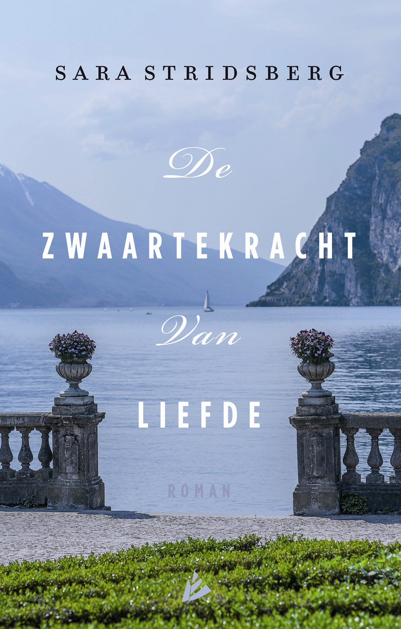 Omslag van De zwaartekracht van liefde