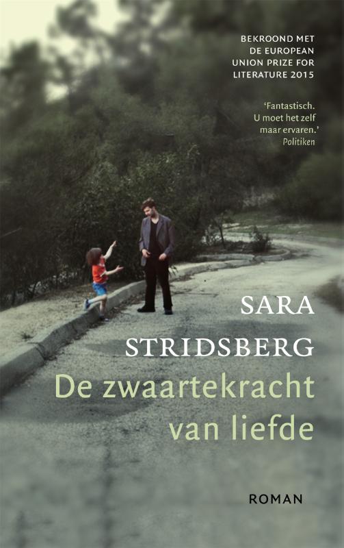 Omslag van De zwaartekracht van liefde