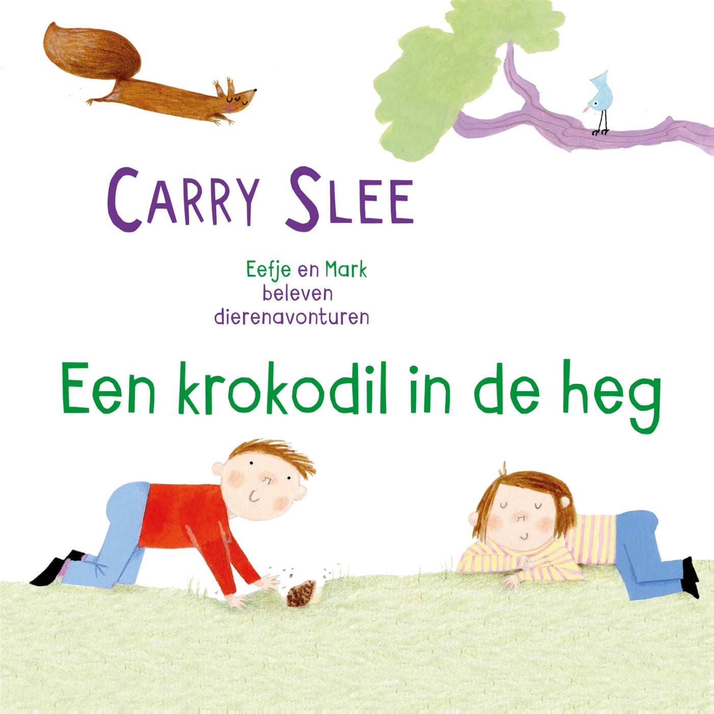 Omslag van Een krokodil in de heg