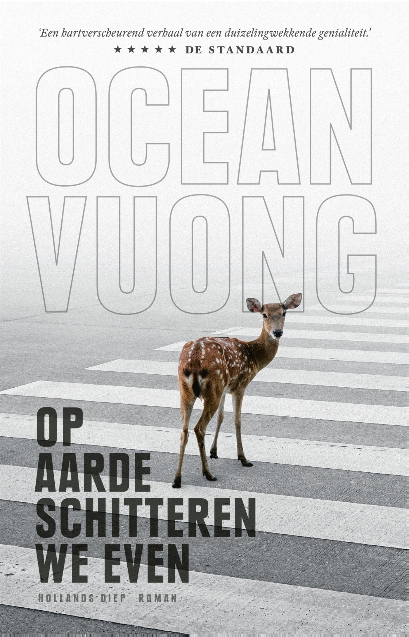 Omslag van Op aarde schitteren we even
