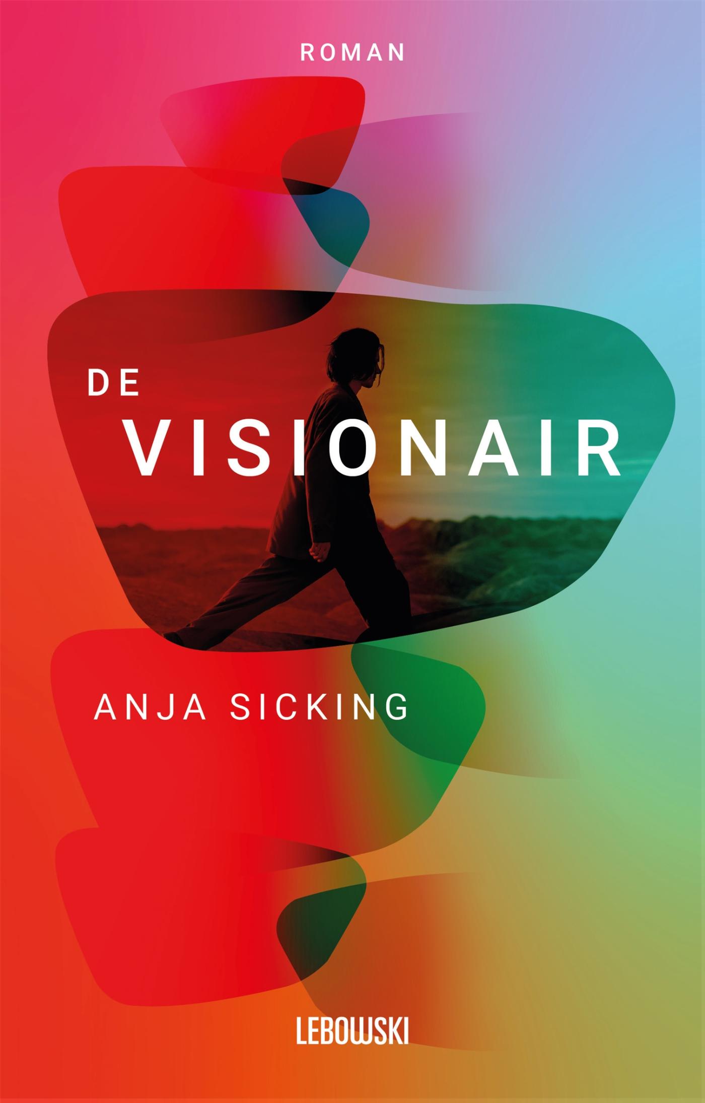 Omslag van De visionair