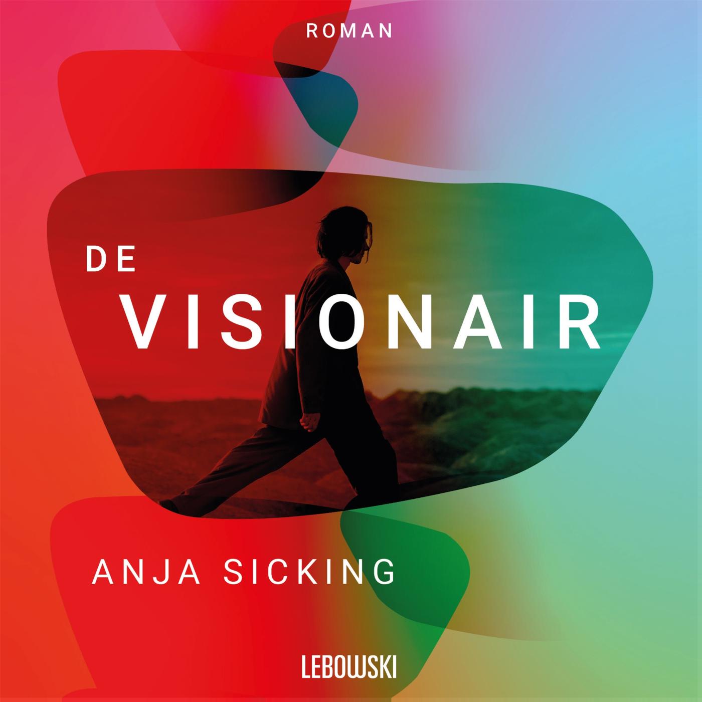 Omslag van De visionair
