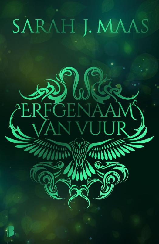 Omslag van Erfgenaam van vuur