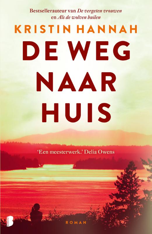 Omslag van De weg naar huis