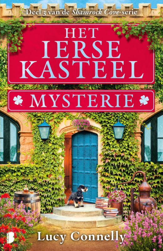 Omslag van Het Ierse kasteelmysterie
