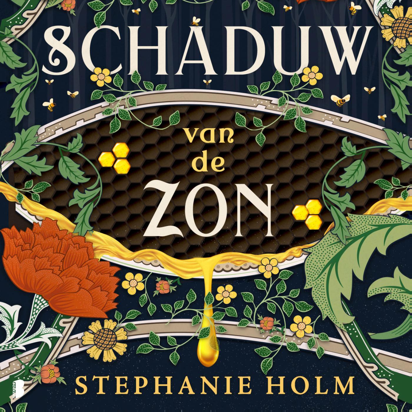 Omslag van Schaduw van de Zon