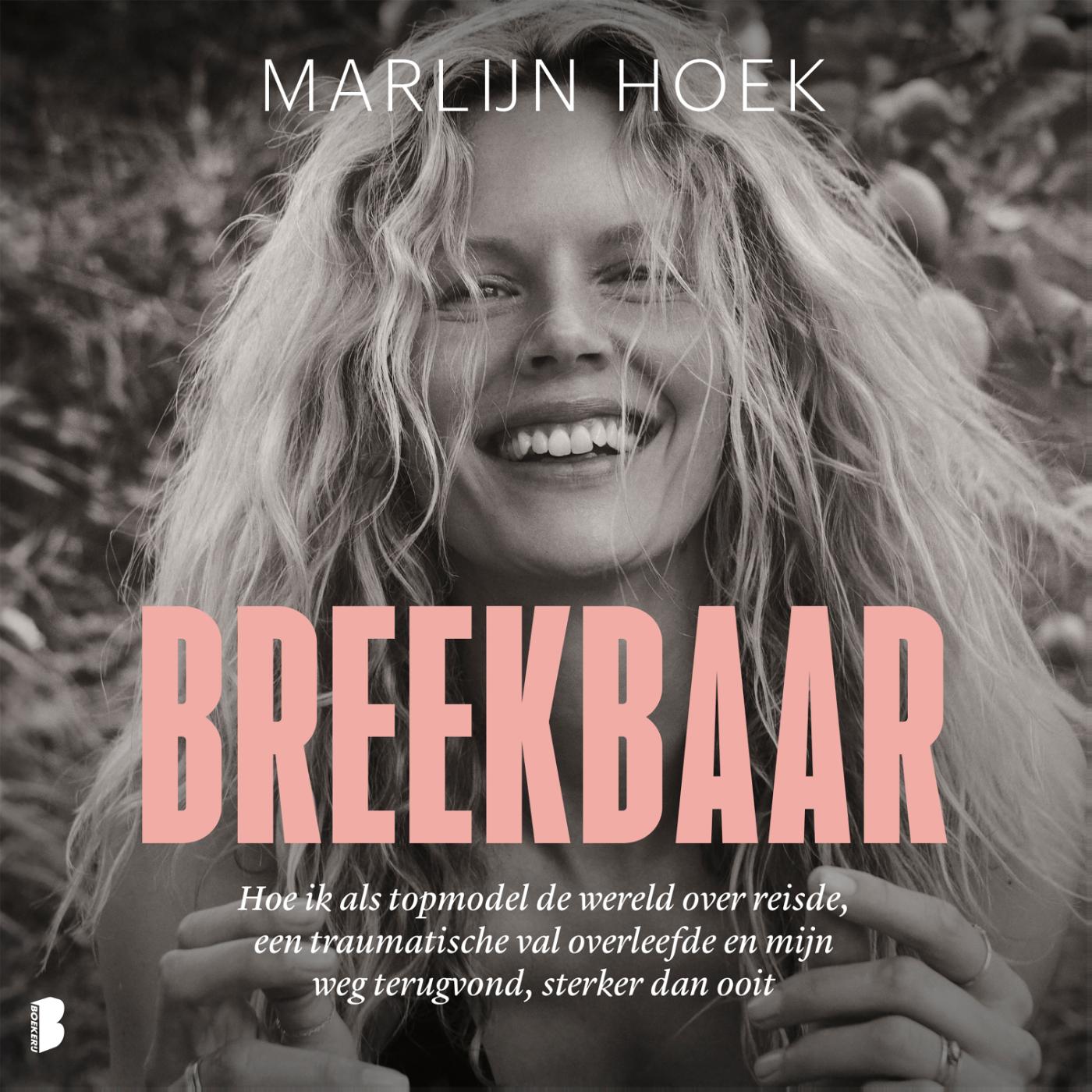 Omslag van Breekbaar
