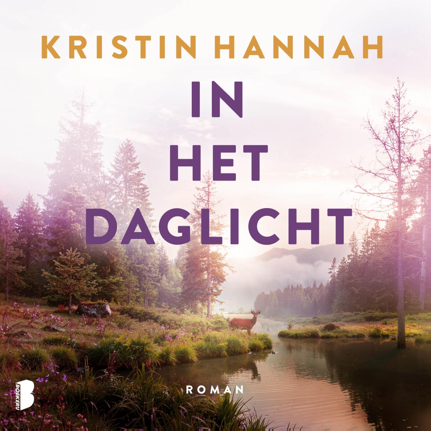 Omslag van In het daglicht