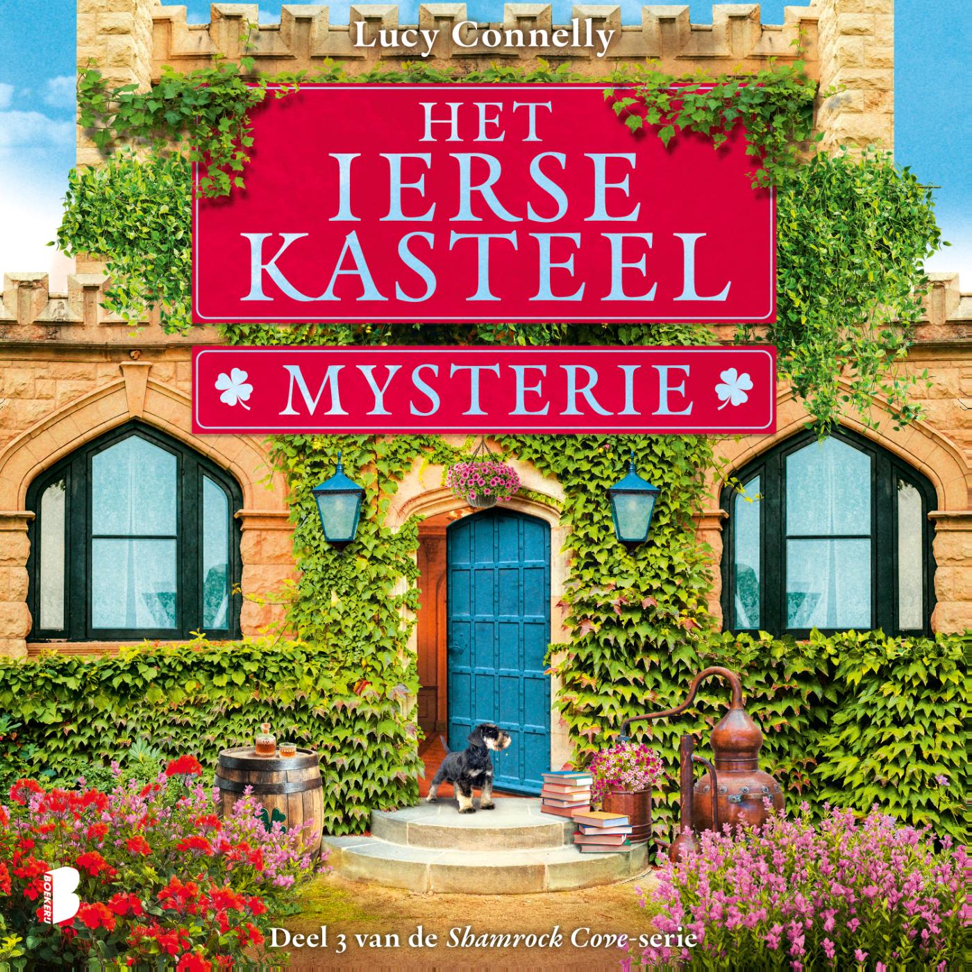Omslag van Het Ierse kasteelmysterie