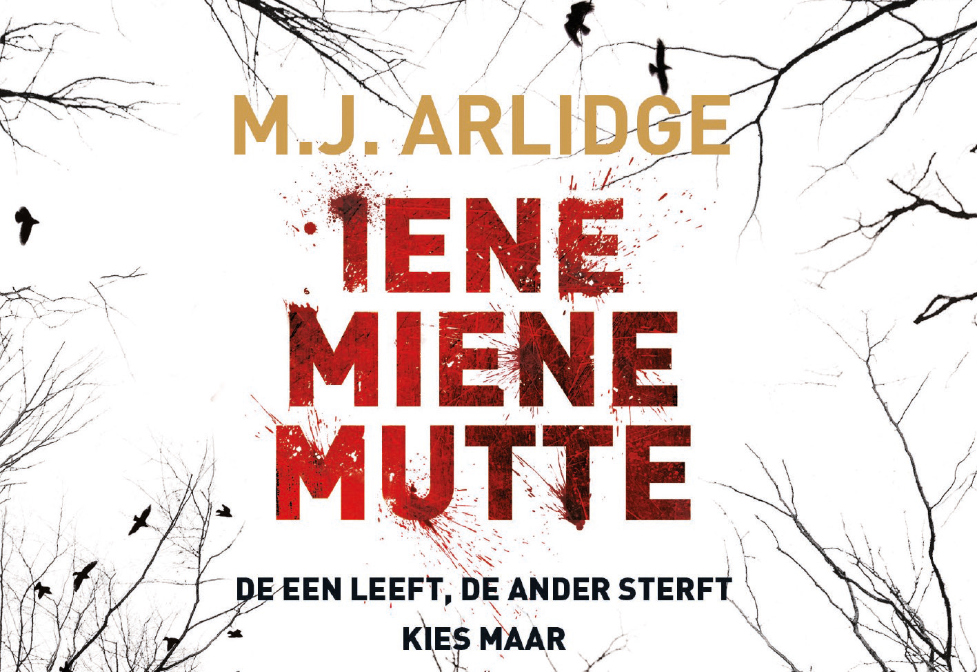 Omslag van Iene Miene Mutte
