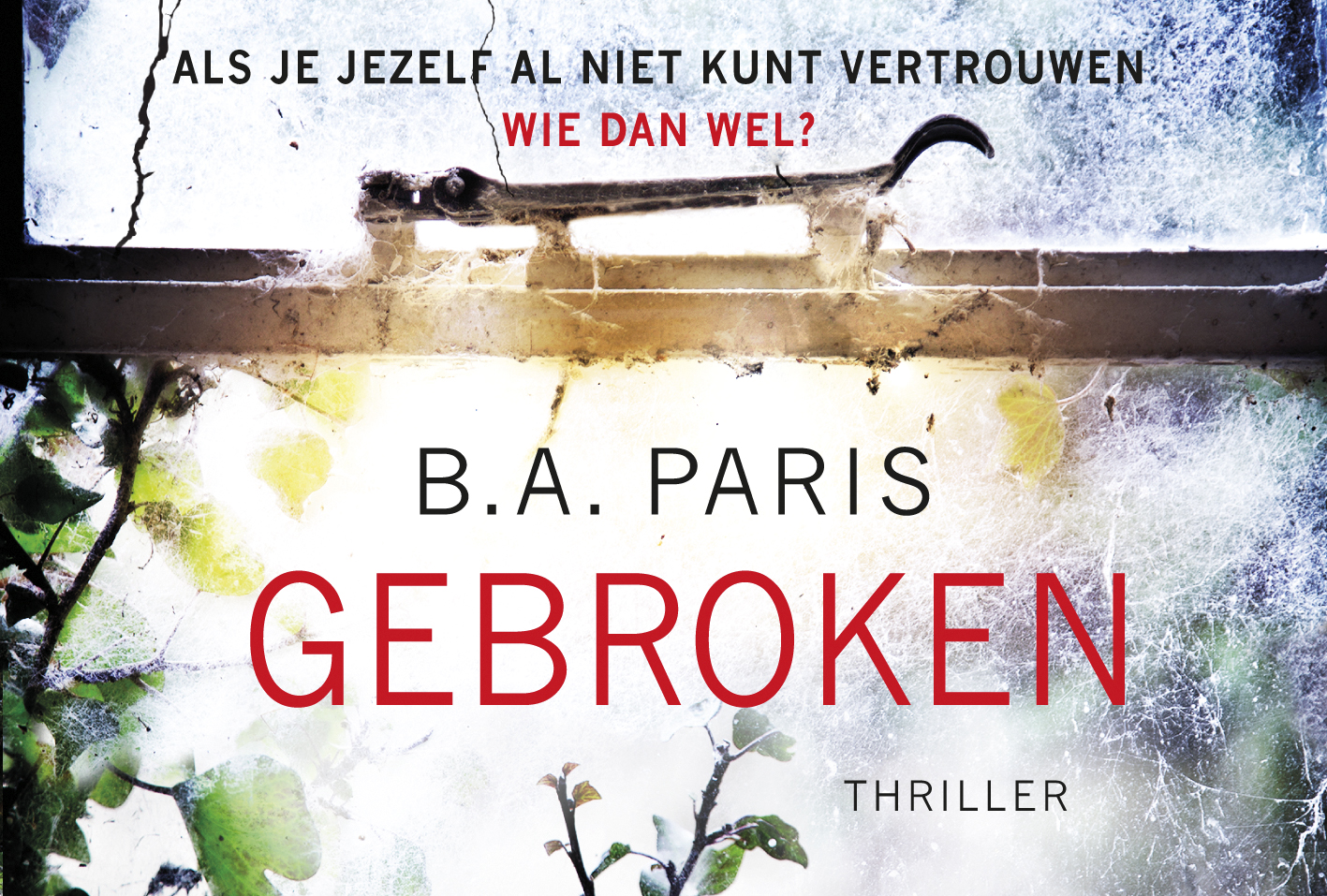Omslag van Gebroken