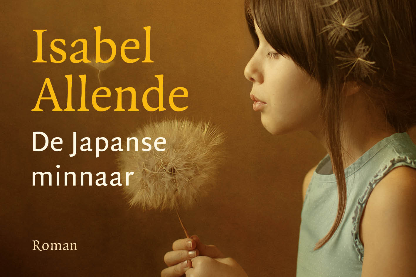 Omslag van De Japanse minnaar