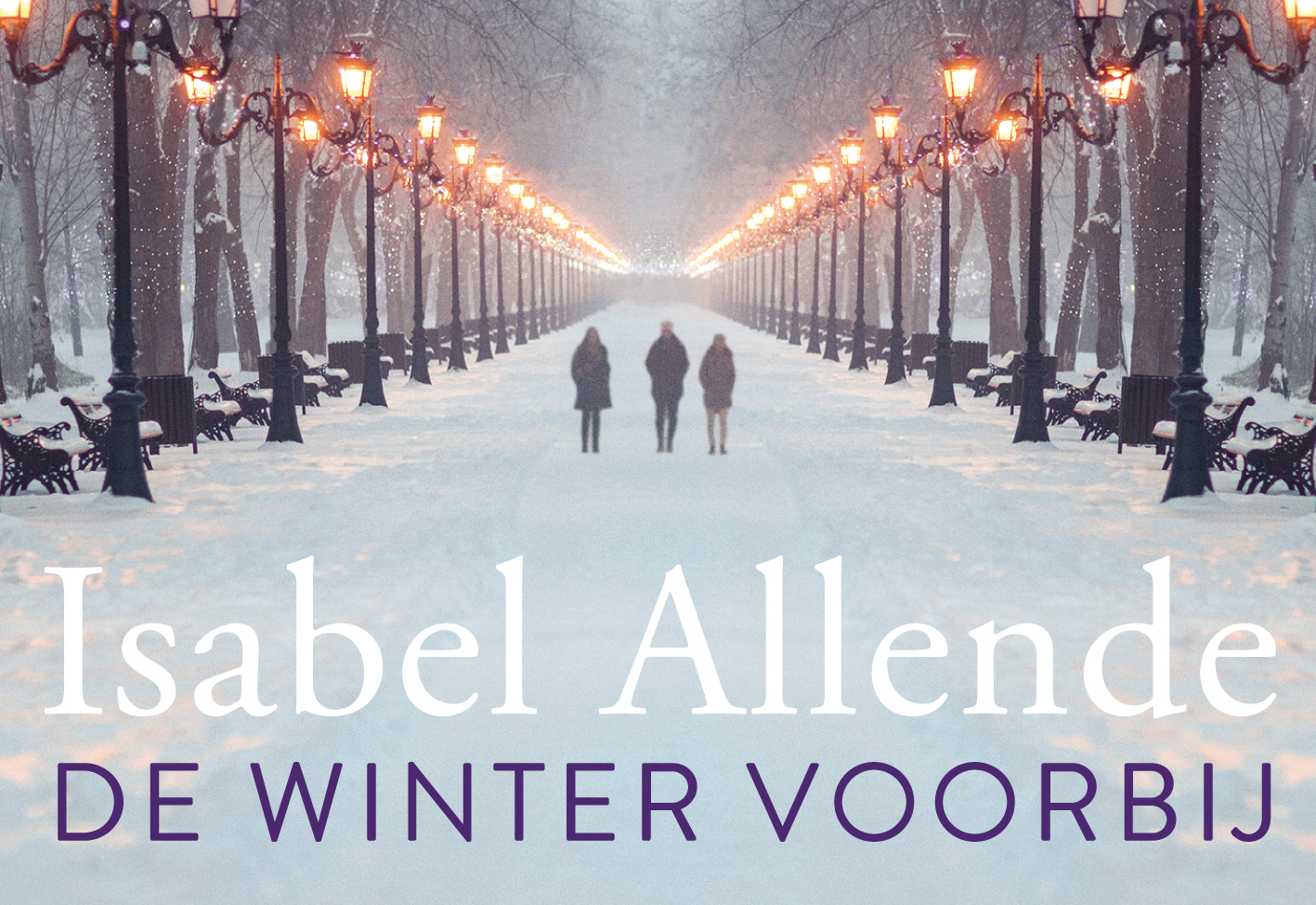 Omslag van De winter voorbij
