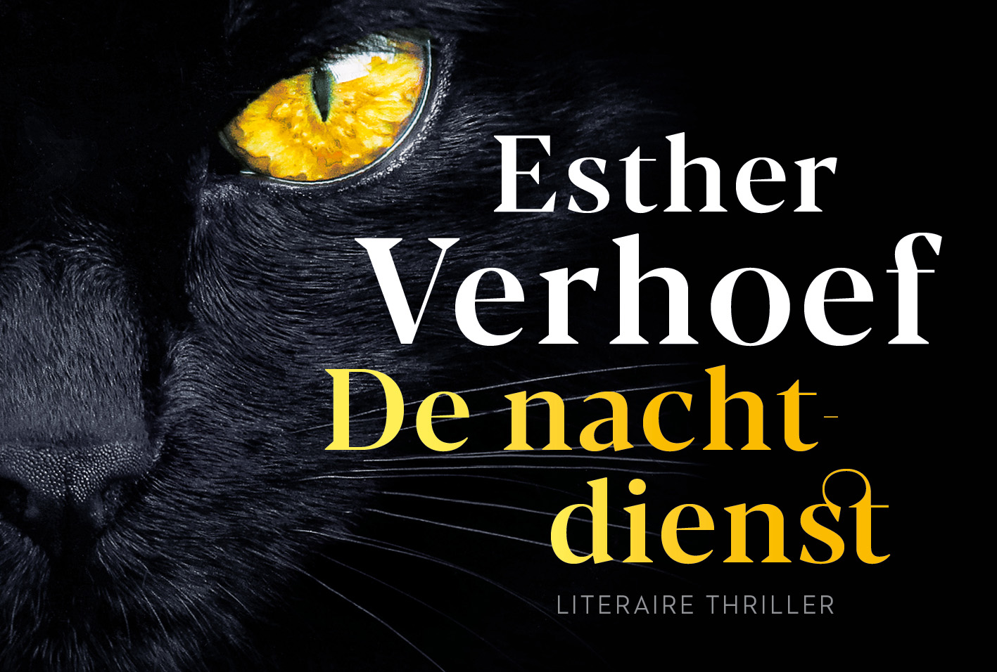 Omslag van De nachtdienst