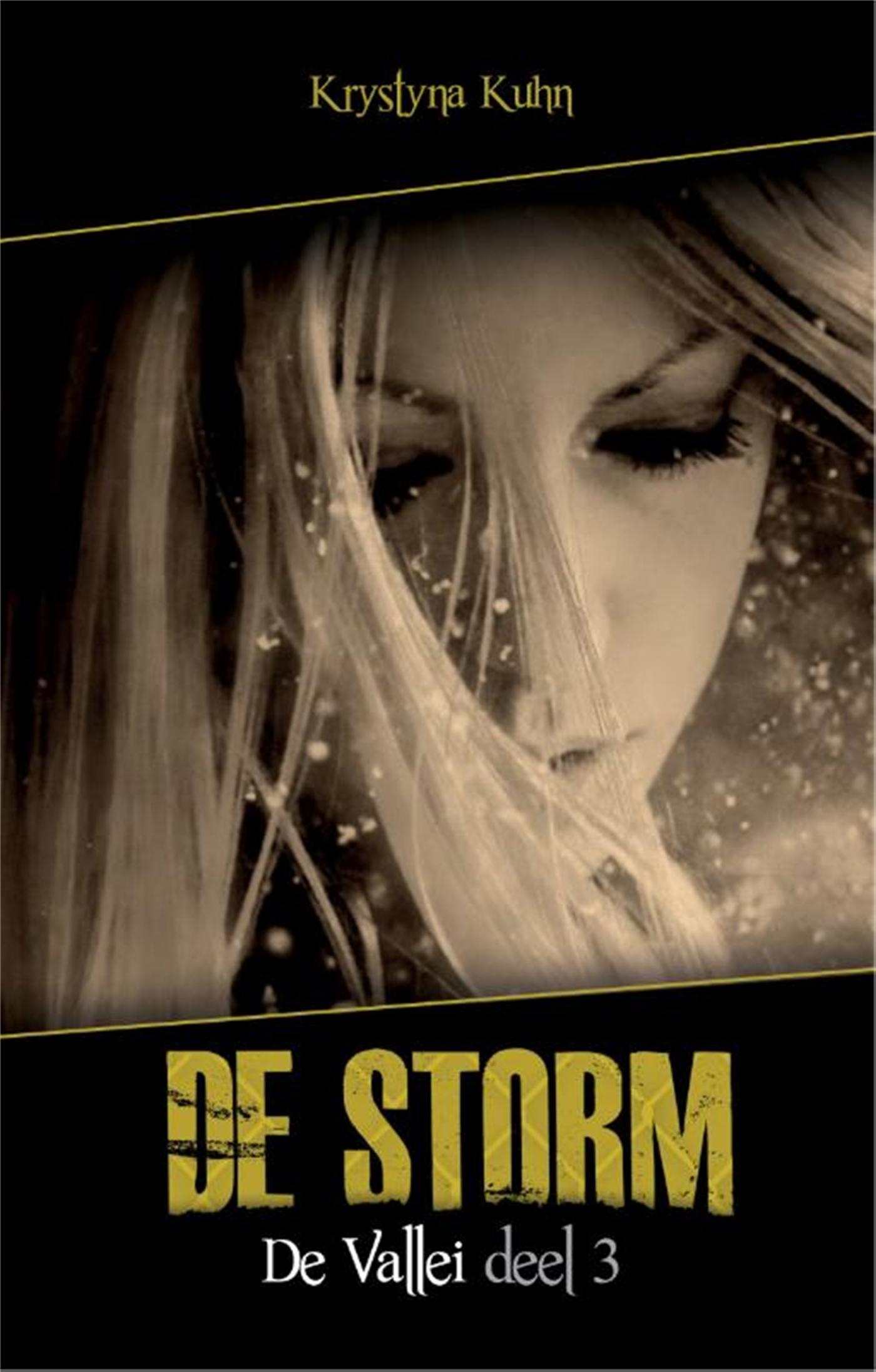 Omslag van 3: De storm